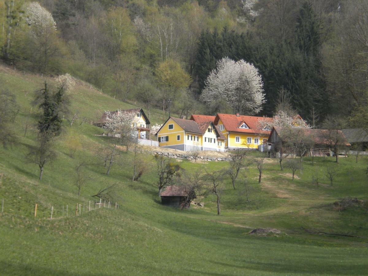 Buchschneider - Ferienhaus Maier - Landhof Schwarzautal Exteriér fotografie