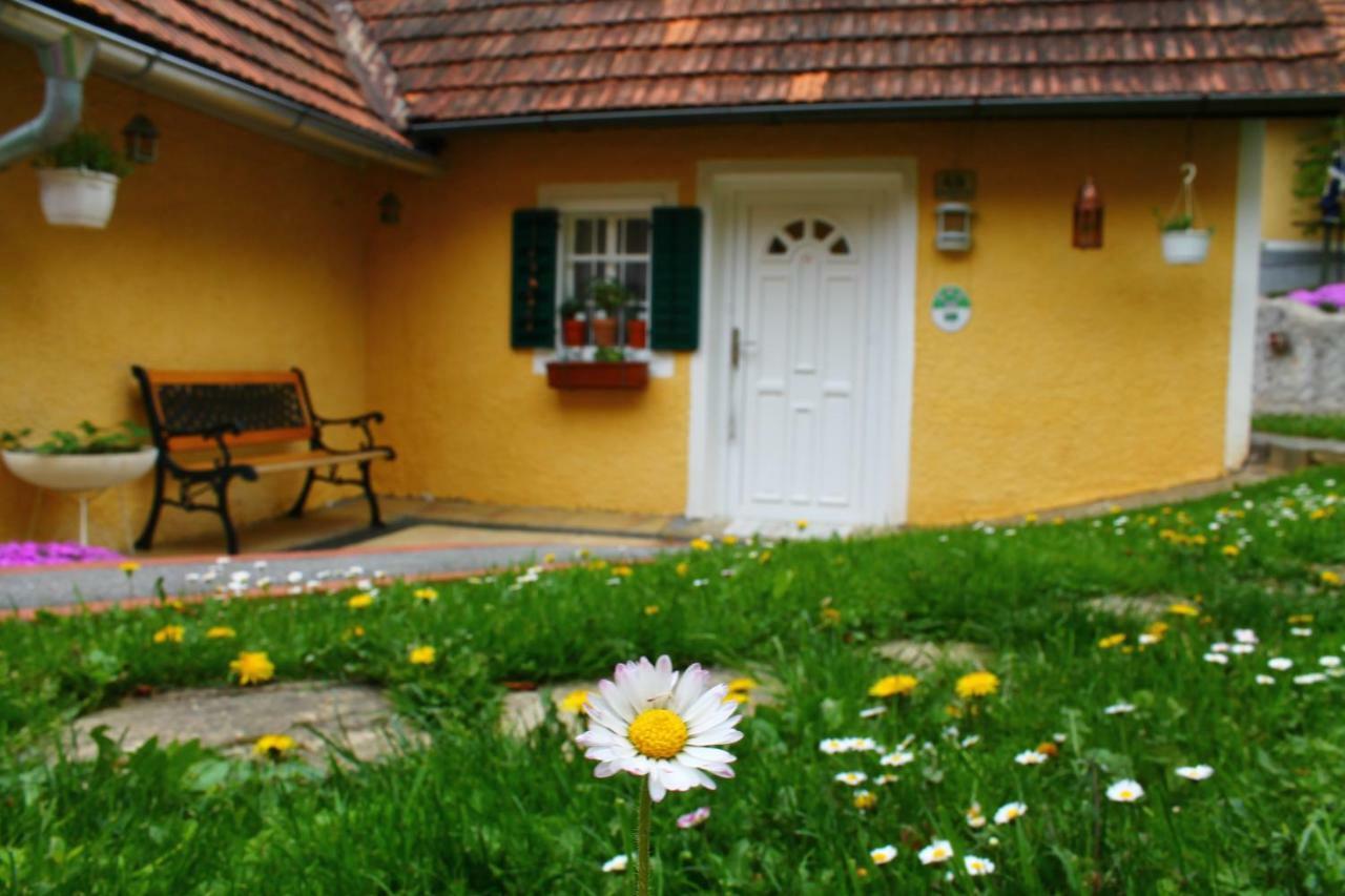 Buchschneider - Ferienhaus Maier - Landhof Schwarzautal Exteriér fotografie